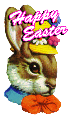 Animation Bunny Sticker by PES