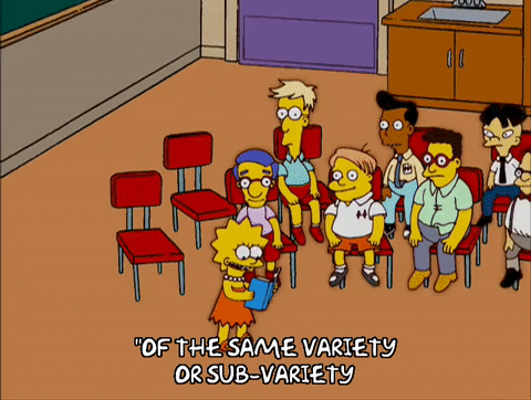 Talking Lisa Simpson GIF by The Simpsons