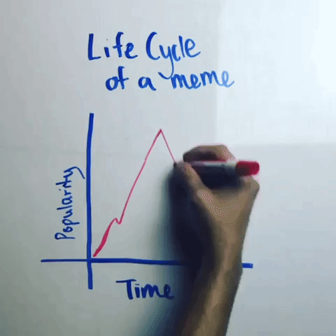 meme me life cycle GIF by TRULY SOCIAL