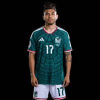 Fifa World Cup Mexico GIF by Respective