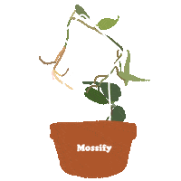 Summer Love Sticker by Mossify