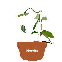 Summer Love Sticker by Mossify