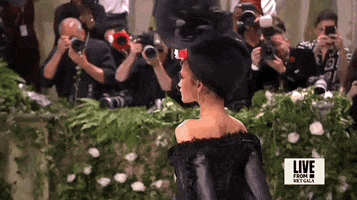 The Met Gala GIF by E!