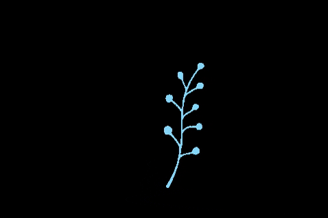 ramoncarvalhoo giphygifmaker aesthetic plant leaves GIF