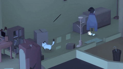 brianchen giphyupload GIF