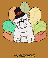 Dog Thanks GIF