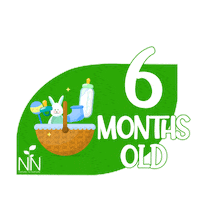 Baby Boy Sticker by Nature to Nurture