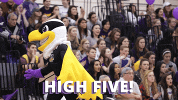 Swoop GIF by Nazareth College