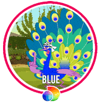 Food Network Blu Sticker by discovery+