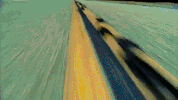 lady gaga beyonce GIF by aficia 