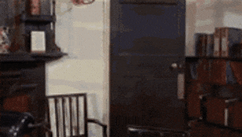 Annecy giphyupload monty python lion tamer accounting accountant GIF