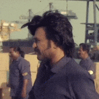 Chennai Super Kings Ipl GIF