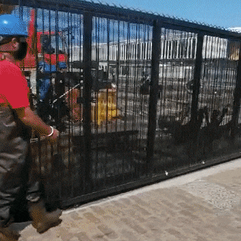giphyupload seal animal rescue drydock two oceans aquarium GIF