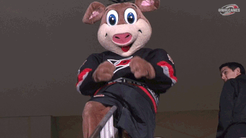 hockey prepare GIF by Carolina Hurricanes