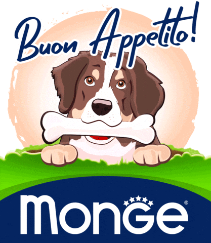 Pet Cane GIF by Mongepet