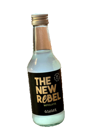 Kefir Waterkefir Sticker by Spice Up Your Qi