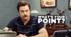 parks and recreation whats your point GIF