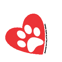 New Post Adopt Dont Shop Sticker by Humane Society of Greater Miami