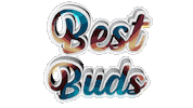 Digital Art Friends Sticker