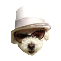 sunglasses STICKER by imoji