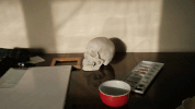 animation skull GIF by nikitaliskov