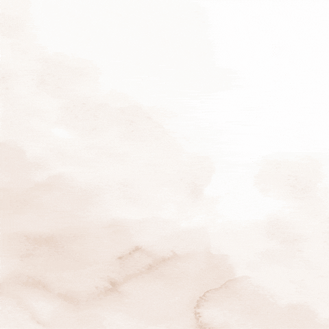 belformula giphyupload GIF