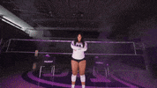 Tommie Volleyball GIF by Tommie Athletics