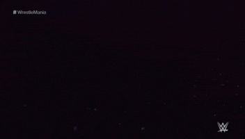 Wrestlemania 35 Sport GIF by WWE