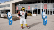 shark week GIF by Rowdy the Roadrunner