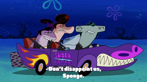 season 9 episode 20 GIF by SpongeBob SquarePants