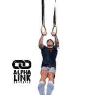 Fitness Workout Sticker by Alpha Link Crossfit