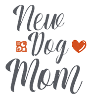 dog love Sticker by Petland Florida