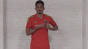 Soccer Logo GIF by San Jose Earthquakes