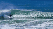 Surfing Surfer GIF by Campbell Designed “surfboards"
