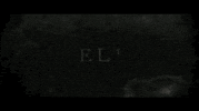 Film Festival Movie GIF by Signature Entertainment