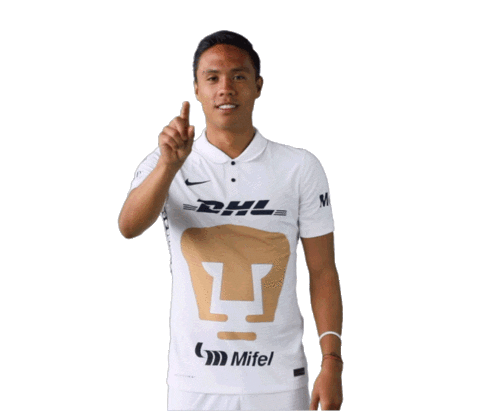 Liga Mx Soccer Sticker by Pumas MX