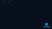 Technology Bitcoin GIF by Nexus