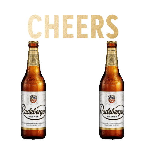 Beer Bier Sticker by radeberger