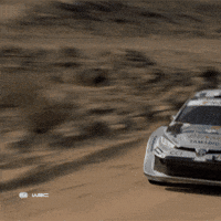 Saudi Arabia Racing GIF by FIA World Rally Championship