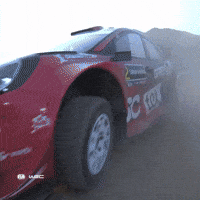 Saudi Arabia Omg GIF by FIA World Rally Championship