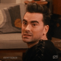 GIF by Schitt's Creek