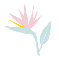 Spring Break Flower Sticker by Olive and June