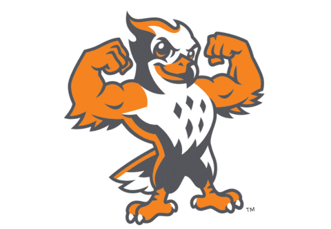UTSouthern giphyupload utsouthern utsfirehawks goutsfirehawks Sticker