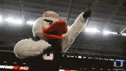 college football GIF by Miami Hurricanes