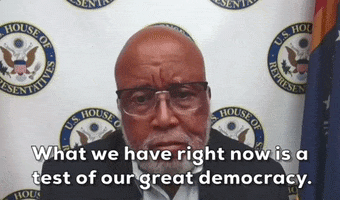 Donald Trump GIF by GIPHY News