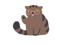 ruillu cat illustration angry tabby Sticker