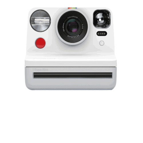 loacker polaroid loacker Sticker