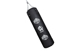 Melvin Manhoef Fight Sticker by Boxing Influencers