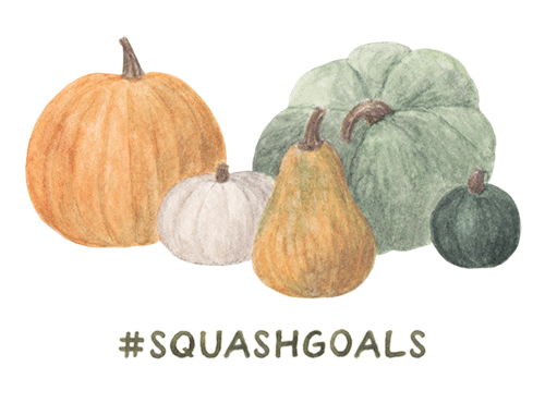 Pumpkin Squash Sticker by amy zhang