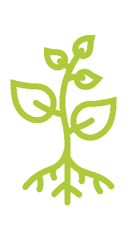 Growth Inspire Sticker by virtual7